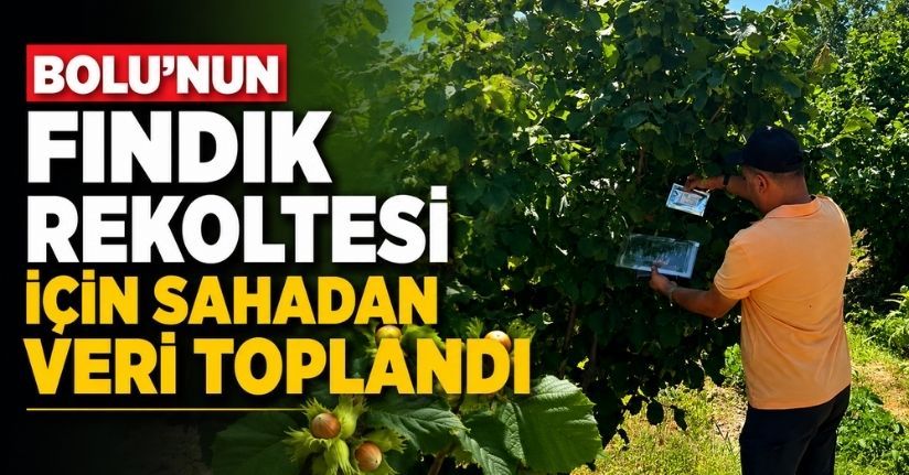 Bolu’nun fındık rekoltesi için sahadan veri toplandı