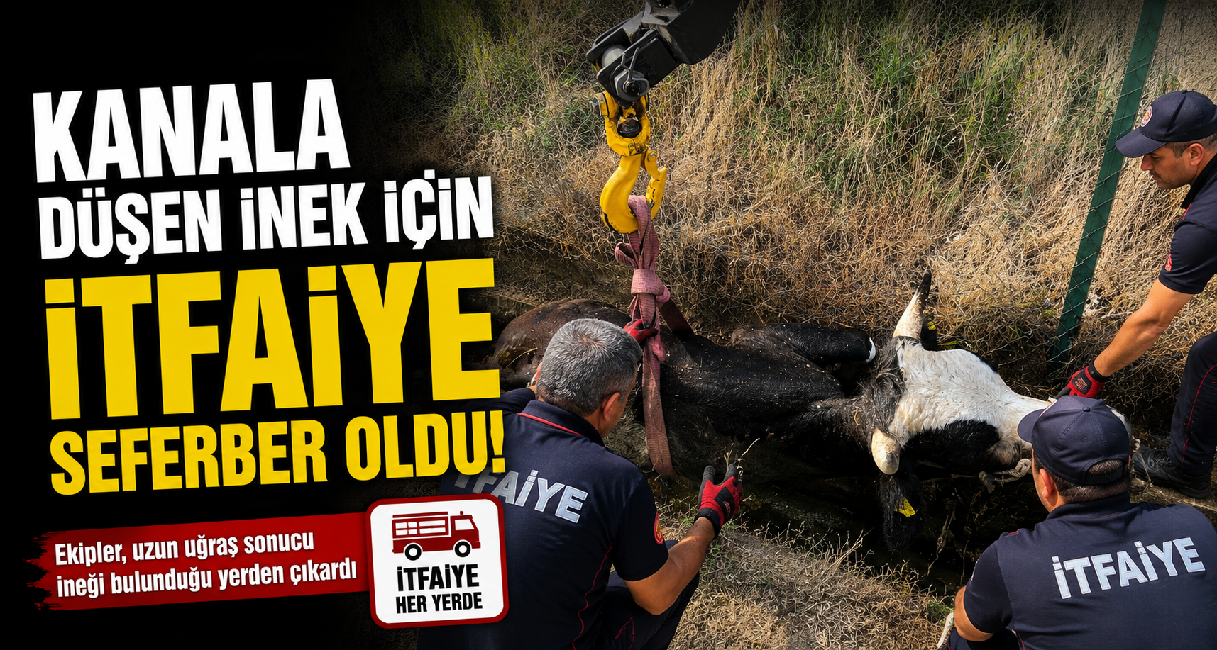 Bolu'da kanala düşen inek için itfaiye seferber oldu