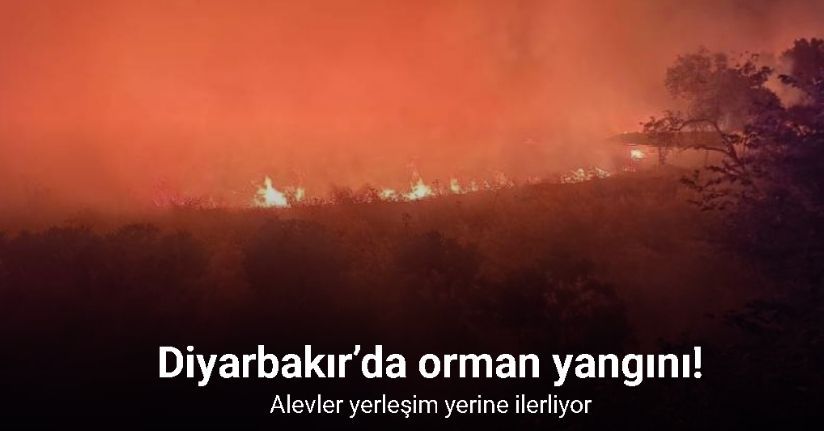 Diyarbakır’da orman yangını: Alevler yerleşim yerine ilerliyor