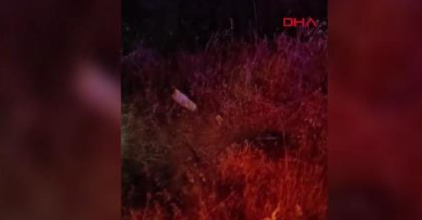 Şanlıurfa’da otomobil şarampole devrildi: 3 ölü, 1 yaralı