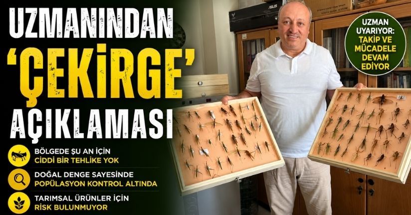 Uzmanından ’çekirge’ açıklaması