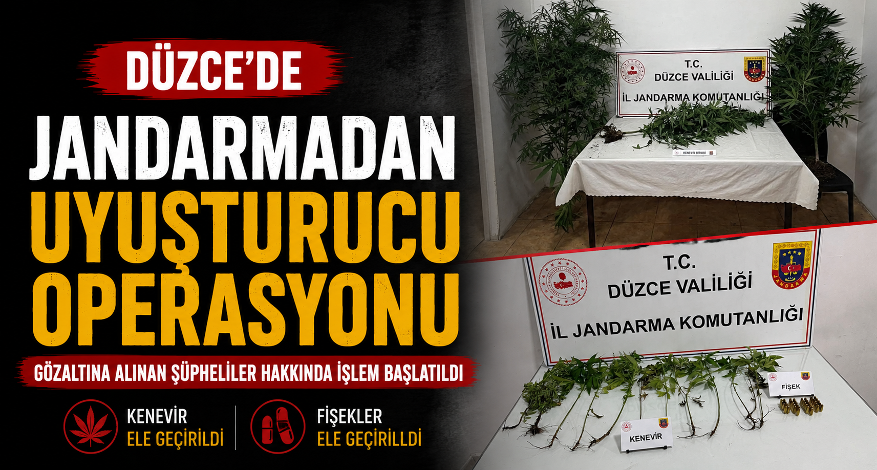 Düzce'de jandarmadan uyuşturucu operasyonu