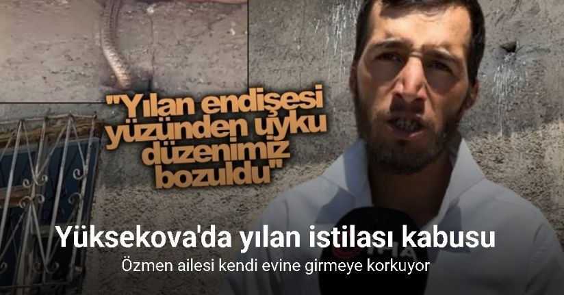 Yüksekova’da yılanlar bir evin kabusu oldu