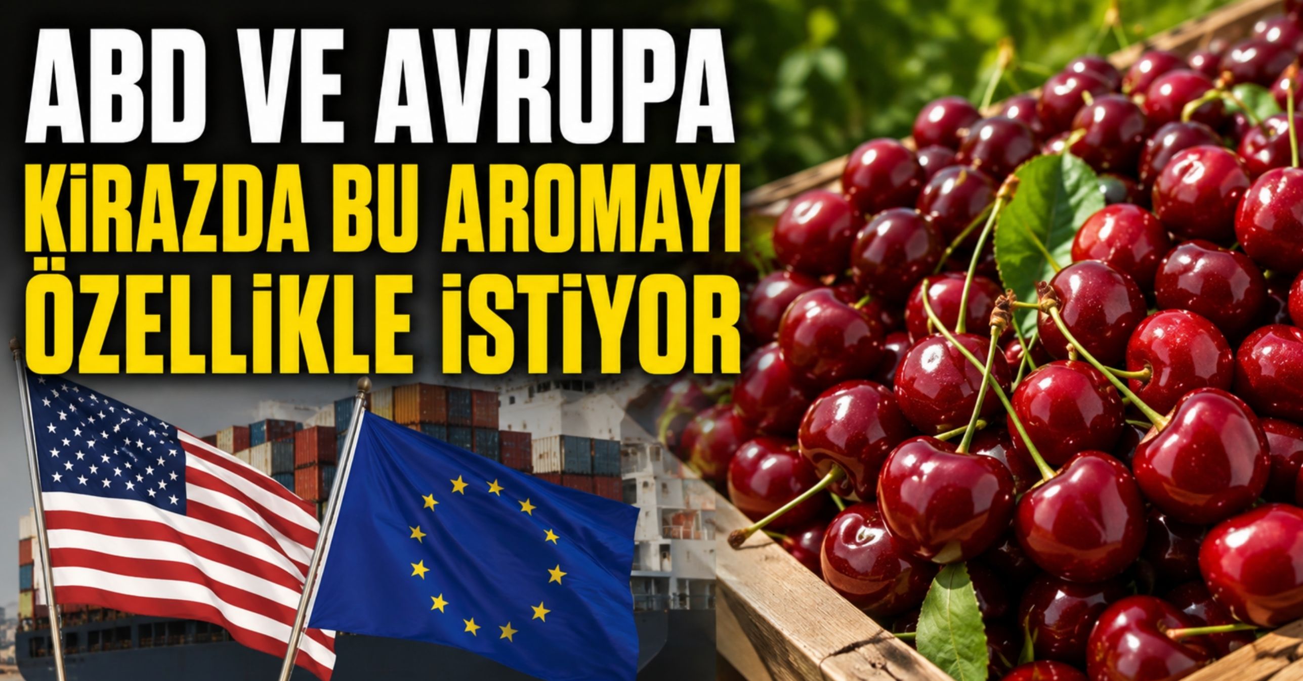 ABD ve Avrupa kirazda bu aromayı özellikle istiyor