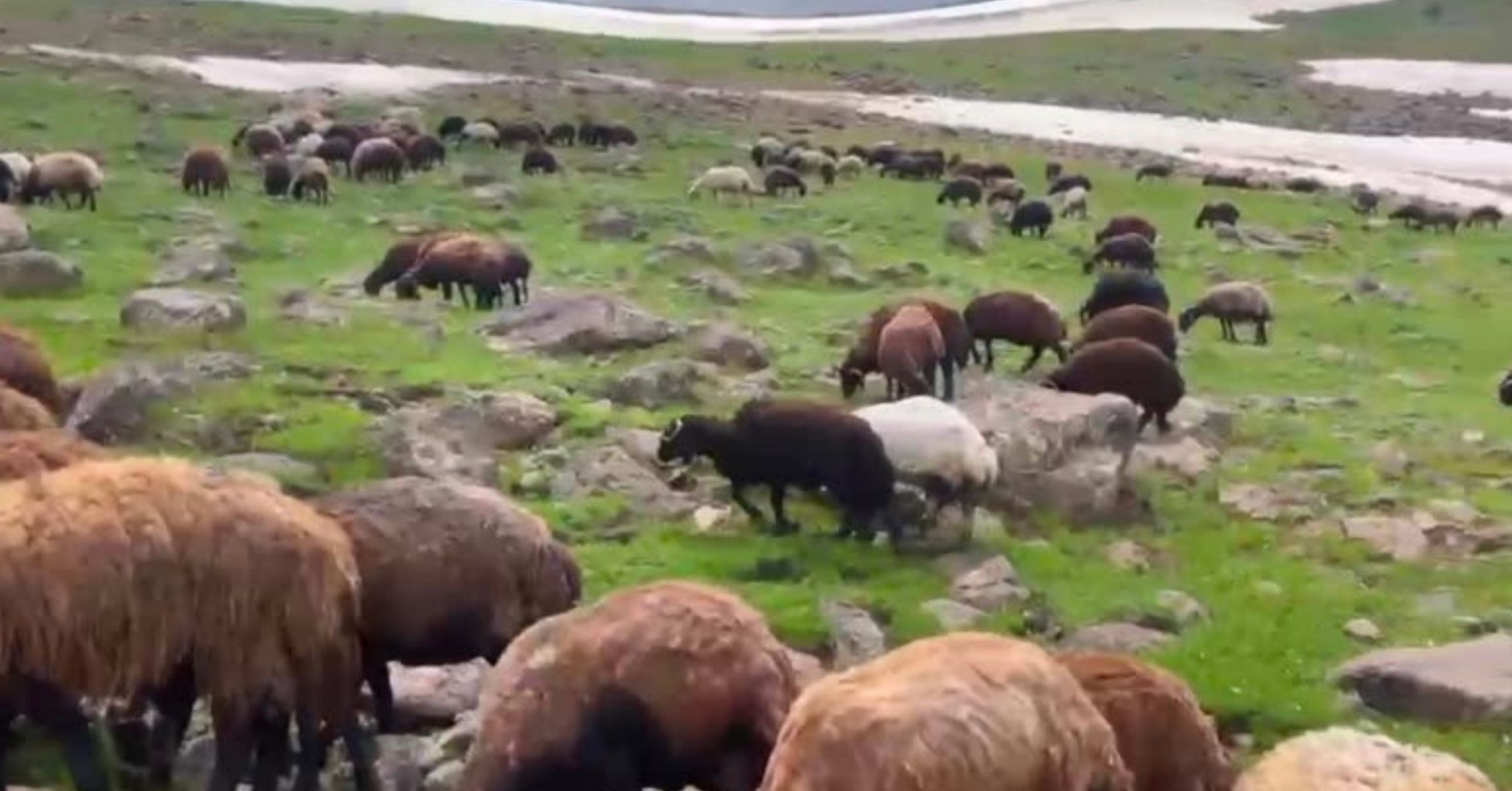 Ağrı’nın yaylalarında yaz ve kış bir arada