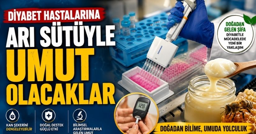 Diyabet hastalarına arı sütüyle umut olacaklar 