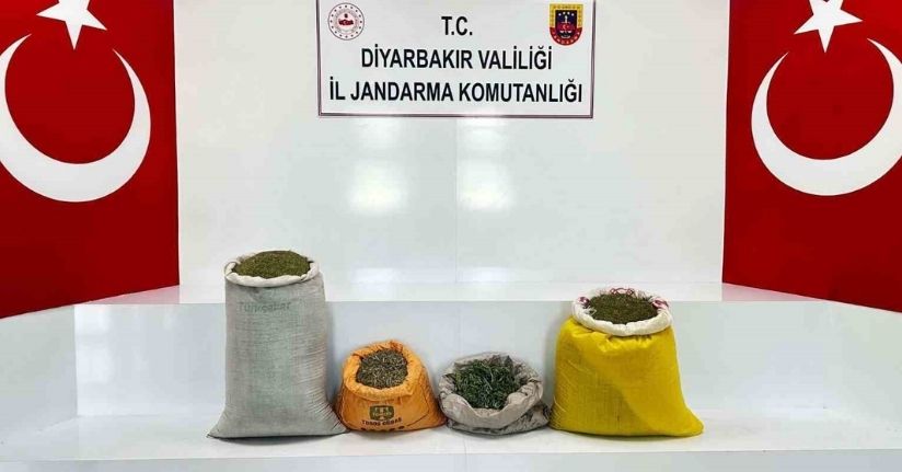 Diyarbakır’da 144 kilo esrar ele geçirildi