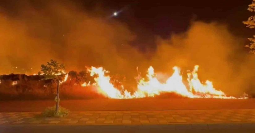 Diyarbakır’da korkutan yangın: Alevler yerleşim yerine ulaşmadan söndürüldü