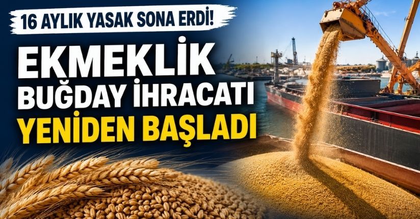 16 aylık yasak sona erdi! Ekmeklik buğday ihracatı yeniden başladı