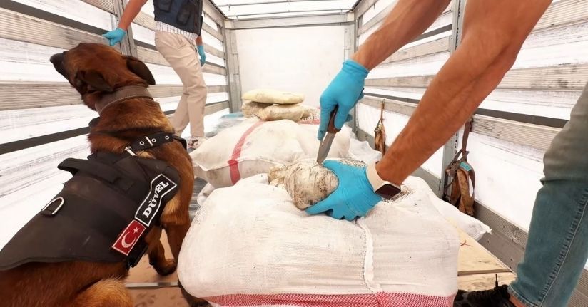 24 ilde uyuşturucu operasyonları: 80 tutuklama