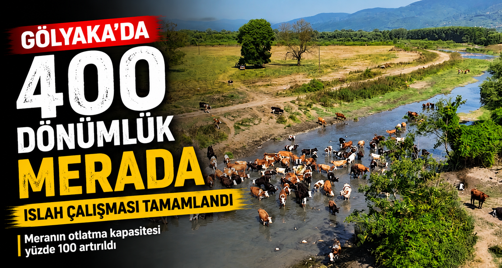 Gölyaka'da 400 dönümlük merada ıslah çalışması tamamlandı