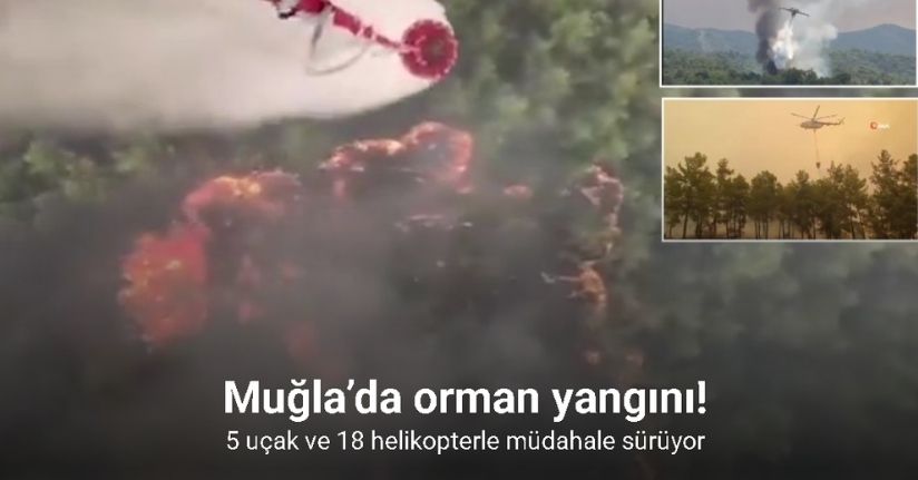 Tarım ve Orman Bakanlığı: Muğla’daki orman yangınına 5 uçak ve 18 helikopterle müdahale sürüyor