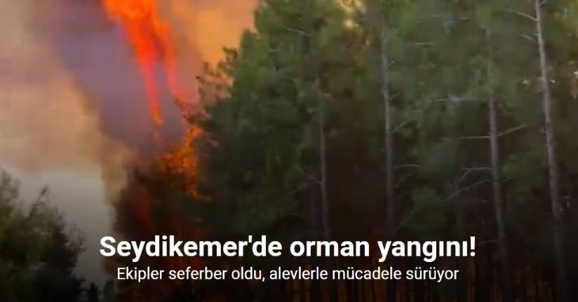 Ekipler seferber oldu, alevlerle mücadele sürüyor
