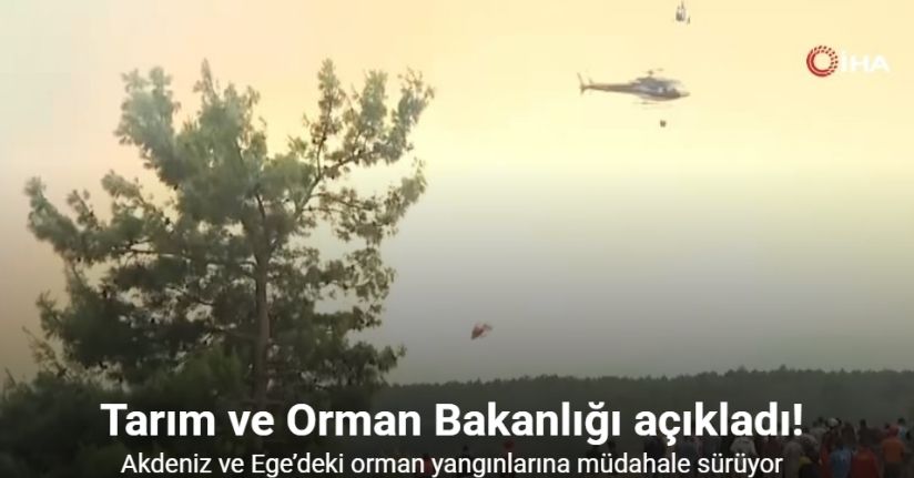 Tarım ve Orman Bakanlığı: Akdeniz ve Ege’deki orman yangınlarına müdahale sürüyor