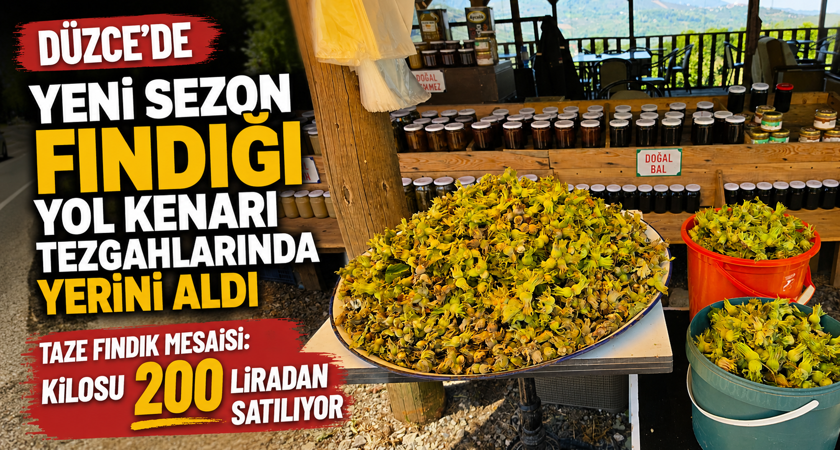 Düzce'de Yeni Sezon Fındığı Yol Kenarı Tezgahlarında Yerini Aldı