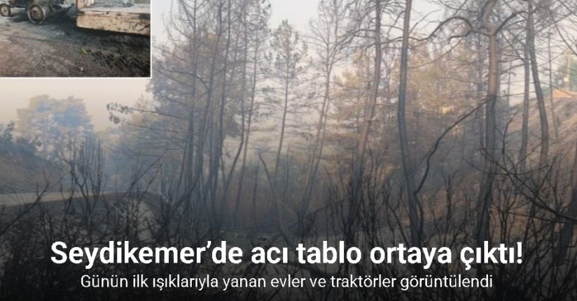 Seydikemer’deki orman yangınında 24 saati aşkın süren mücadelenin ardından acı tablo ortaya çıktı