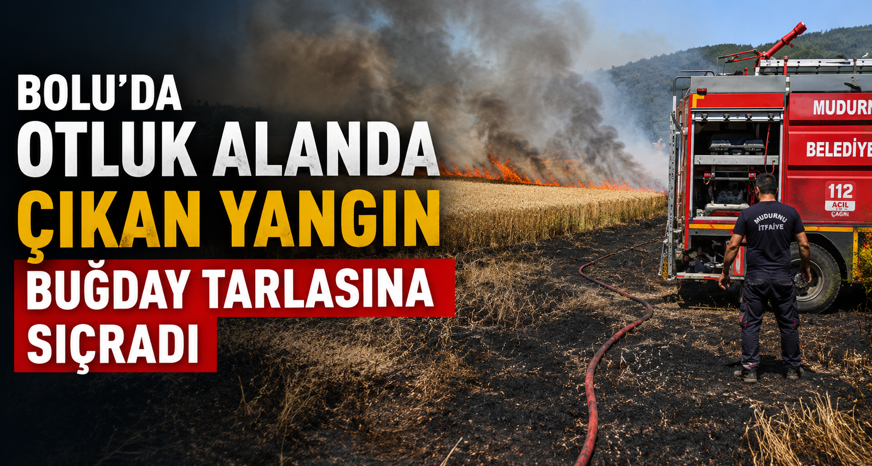 Bolu’da otluk alanda çıkan yangın buğday tarlasına sıçradı