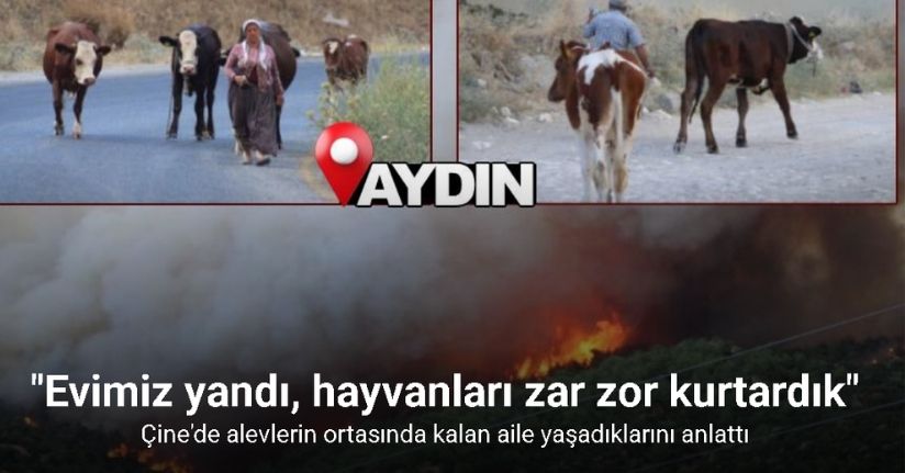 Alevlerden kaçtılar, hayvanlarını ve kendi canlarını zor kurtardılar