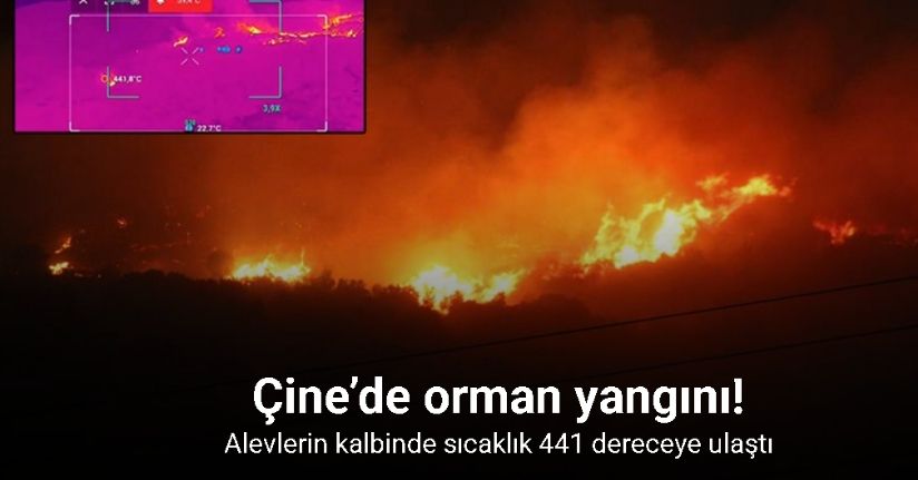 Çine’de orman yangını geceyi gündüze çevirdi