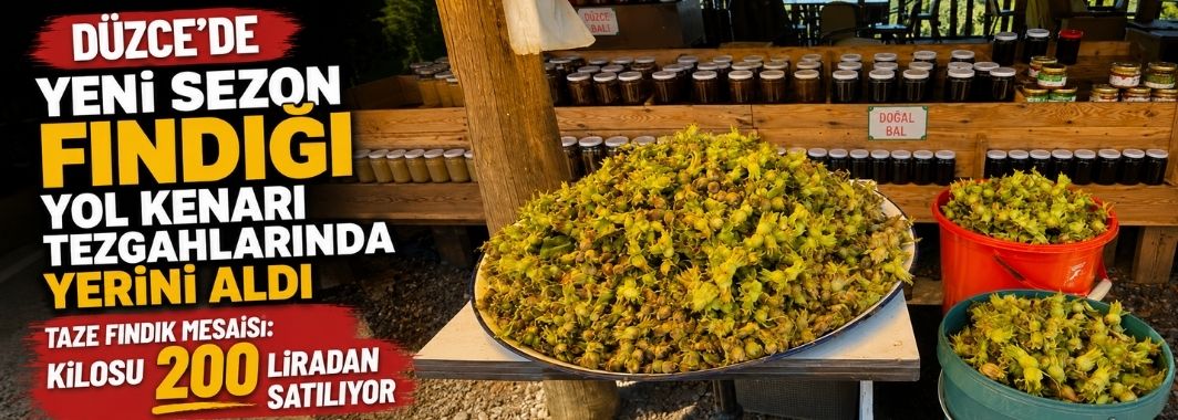 Düzce'de Yeni Sezon Fındığı Yol Kenarı Tezgahlarında Yerini Aldı
