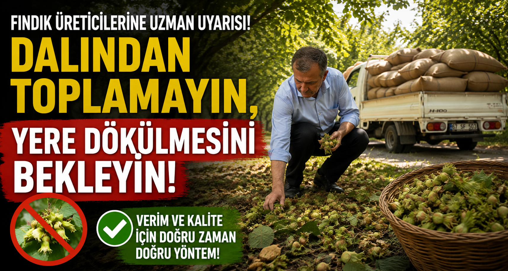 Dalından toplamayın, yere dökülmesini bekleyin