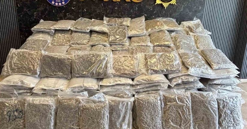 Silivri’de tır’da 376 kilo uyuşturucu ele geçirildi
