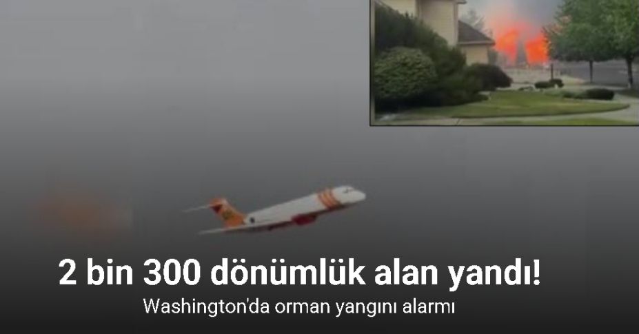 Washington'da orman yangını alarmı: 2 bin 300 dönümlük alan yandı