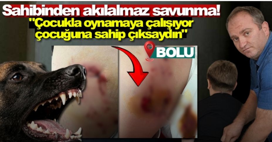 Bolu’da 7 yaşındaki çocuğu kalçasından Belçika kurdu ısırdı