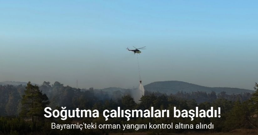 Bayramiç'teki orman yangını kontrol altına alındı