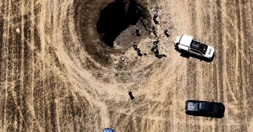 İliç’te obruğa düşen yaban domuzu yavruları kurtarıldı