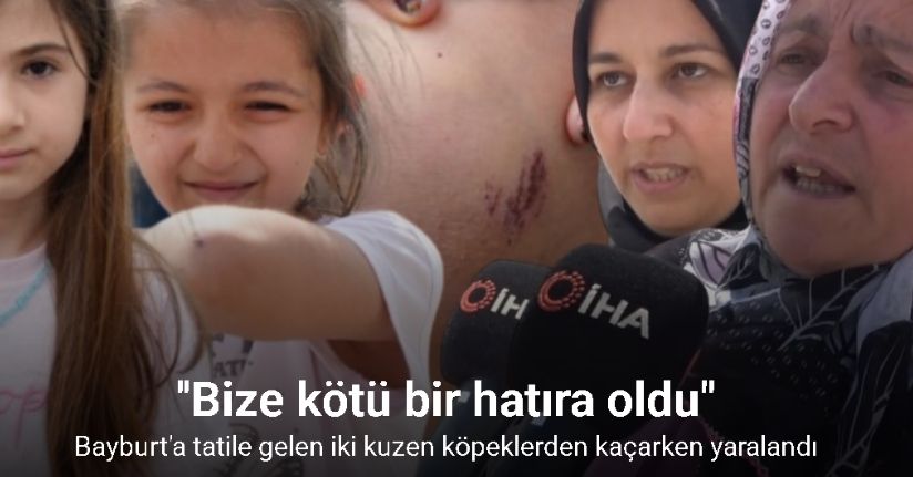 Bayburt’a tatile gelen iki kuzen köpeklerden kaçarken yaralandı