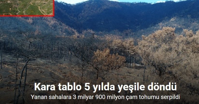 Kara tablo 5 yılda yeşile döndü