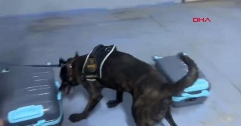 Valizdeki kıyafetlere emdirilmiş 7 kilo metamfetamin ele geçirildi