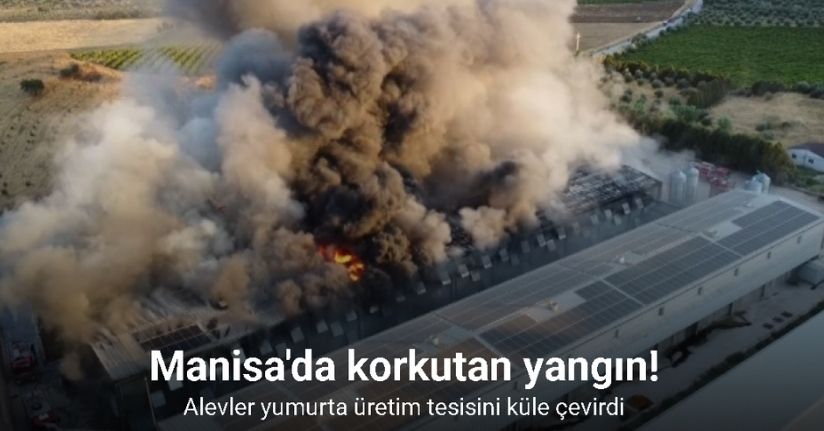 Alevler yumurta üretim tesisini küle çevirdi