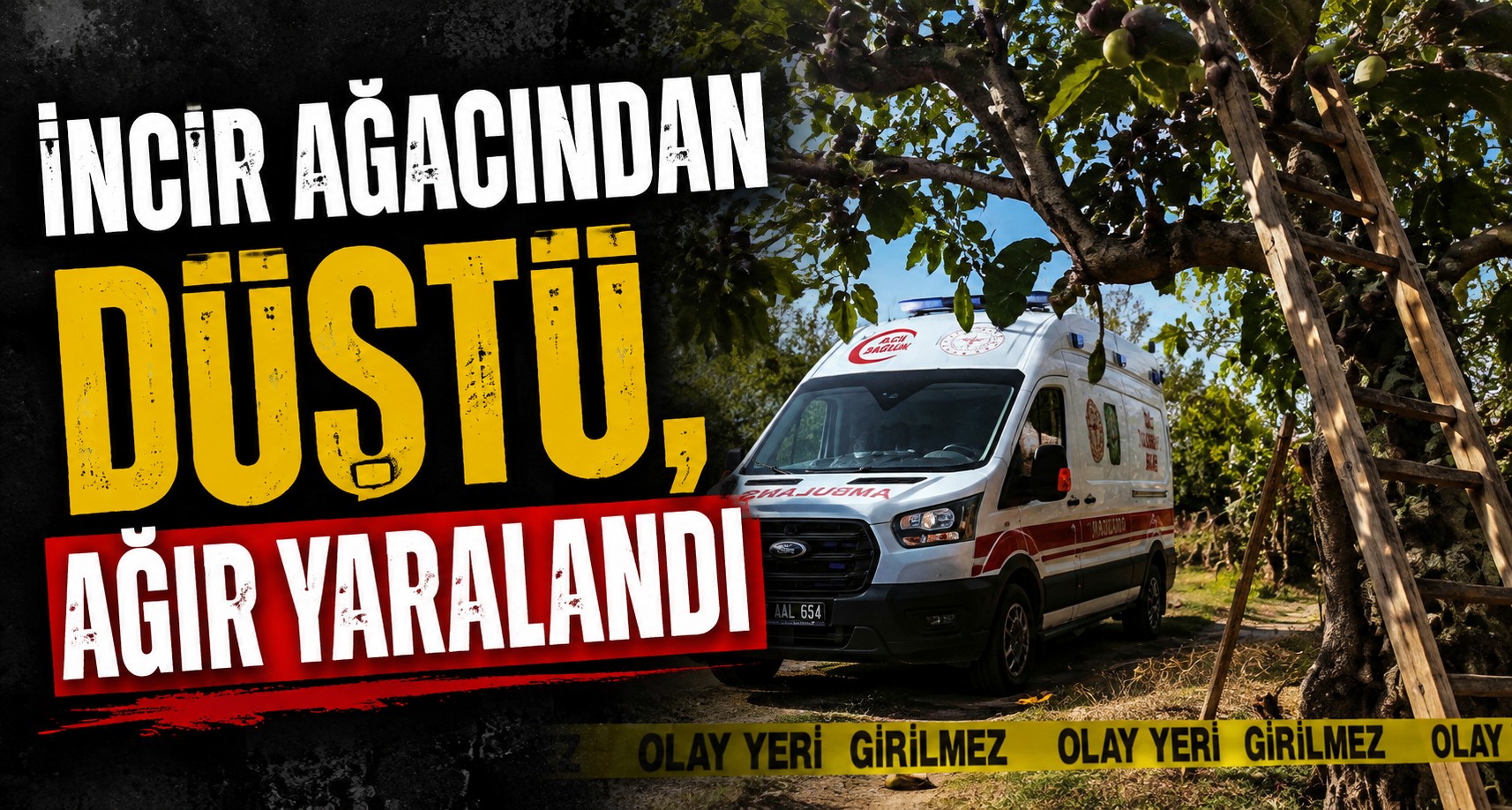 İncir ağacından düştü, ağır yaralandı