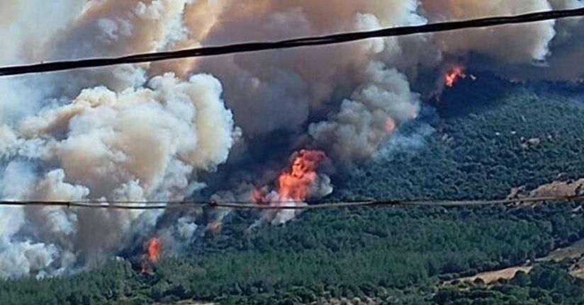 Çanakkale'de 2 ayda çıkan orman yangınlarında 541 hektar alan zarar gördü