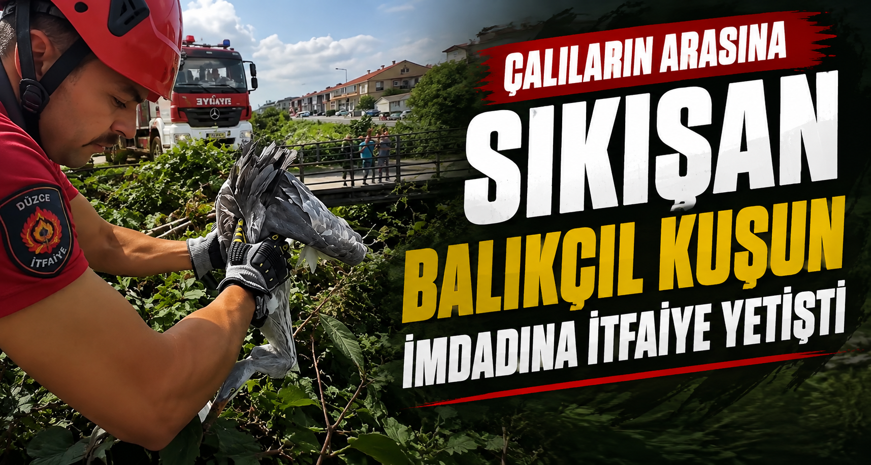 Çalıların arasına sıkışan balıkçıl kuşun imdadına itfaiye yetişti