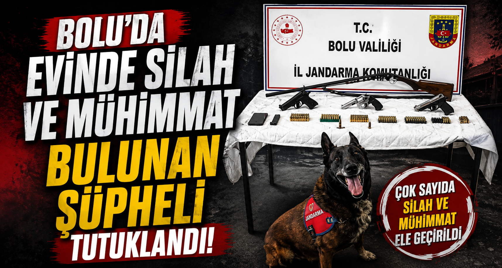 Bolu’da evinde silah ve mühimmat bulunan şüpheli tutuklandı