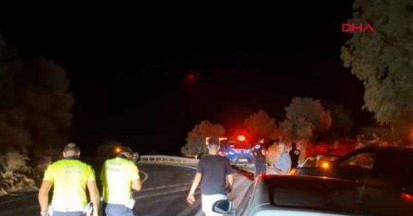 Antalya'daki orman yangını kontrol altında; kara yolu ulaşıma açıldı