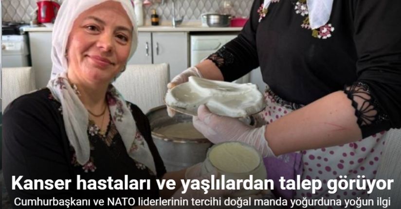 Cumhurbaşkanı ve NATO liderlerinin tercihi doğal manda yoğurduna yoğun ilgi