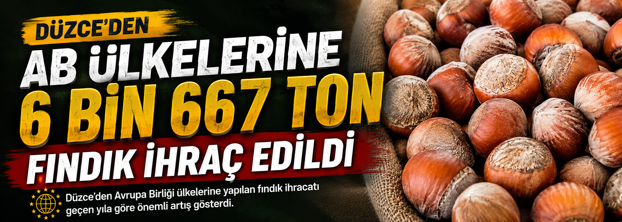 Düzce'den AB ülkelerine 6 bin 667 ton fındık ihraç edildi