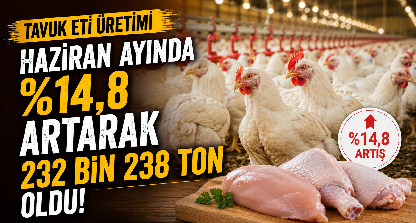 Tavuk eti üretimi Haziran ayında yüzde 14,8 oranında artarak 232 bin 238 ton oldu