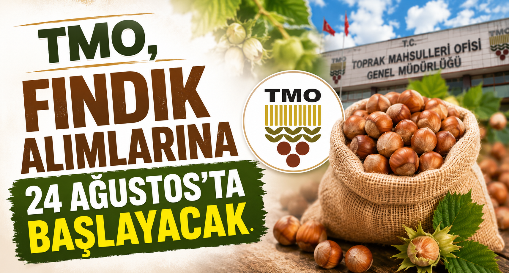 TMO, fındık alımlarına 24 Ağustos’ta başlayacak