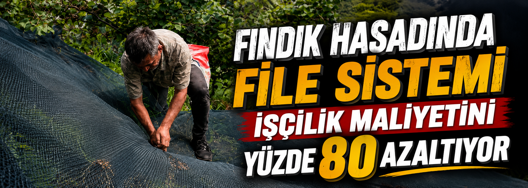 Fındık Hasadında File Sistemi İşçilik Maliyetini Yüzde 80 Azaltıyor