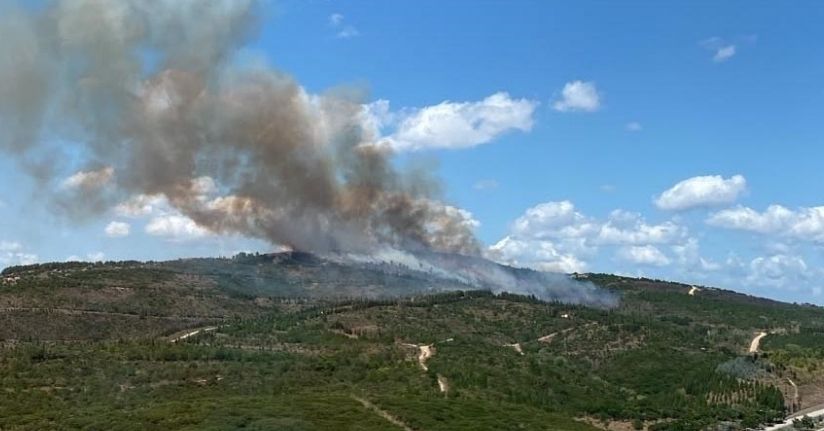 Kocaeli’deki orman yangını havadan ve karadan müdahaleyle söndürüldü