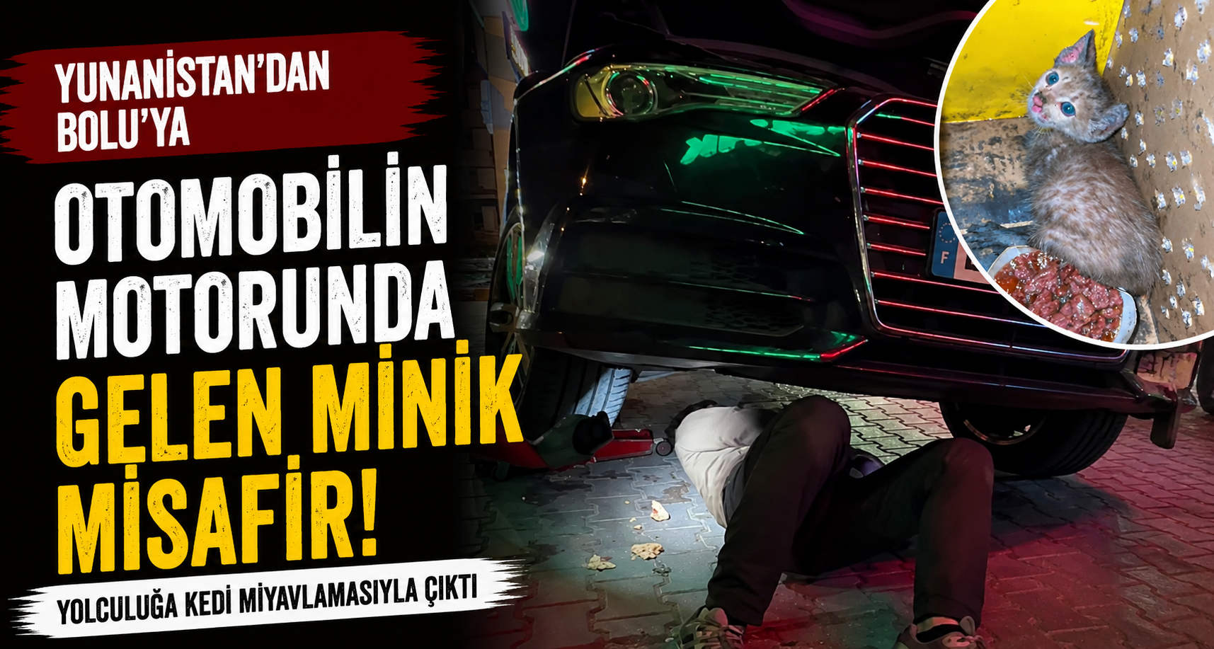 Yunanistan’dan Bolu’ya otomobilin motorunda gelen minik misafir