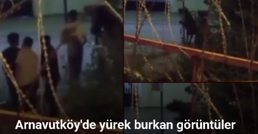 Arnavutköy’de yürek burkan görüntüler: Dakikalarca atı dövdü
