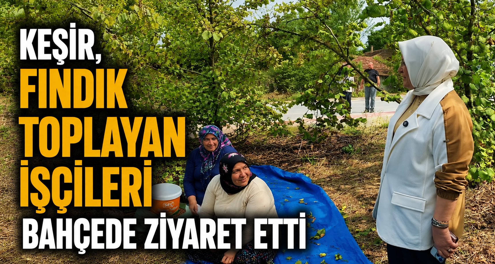 Keşir, Fındık Toplayan İşçileri Bahçede Ziyaret Etti