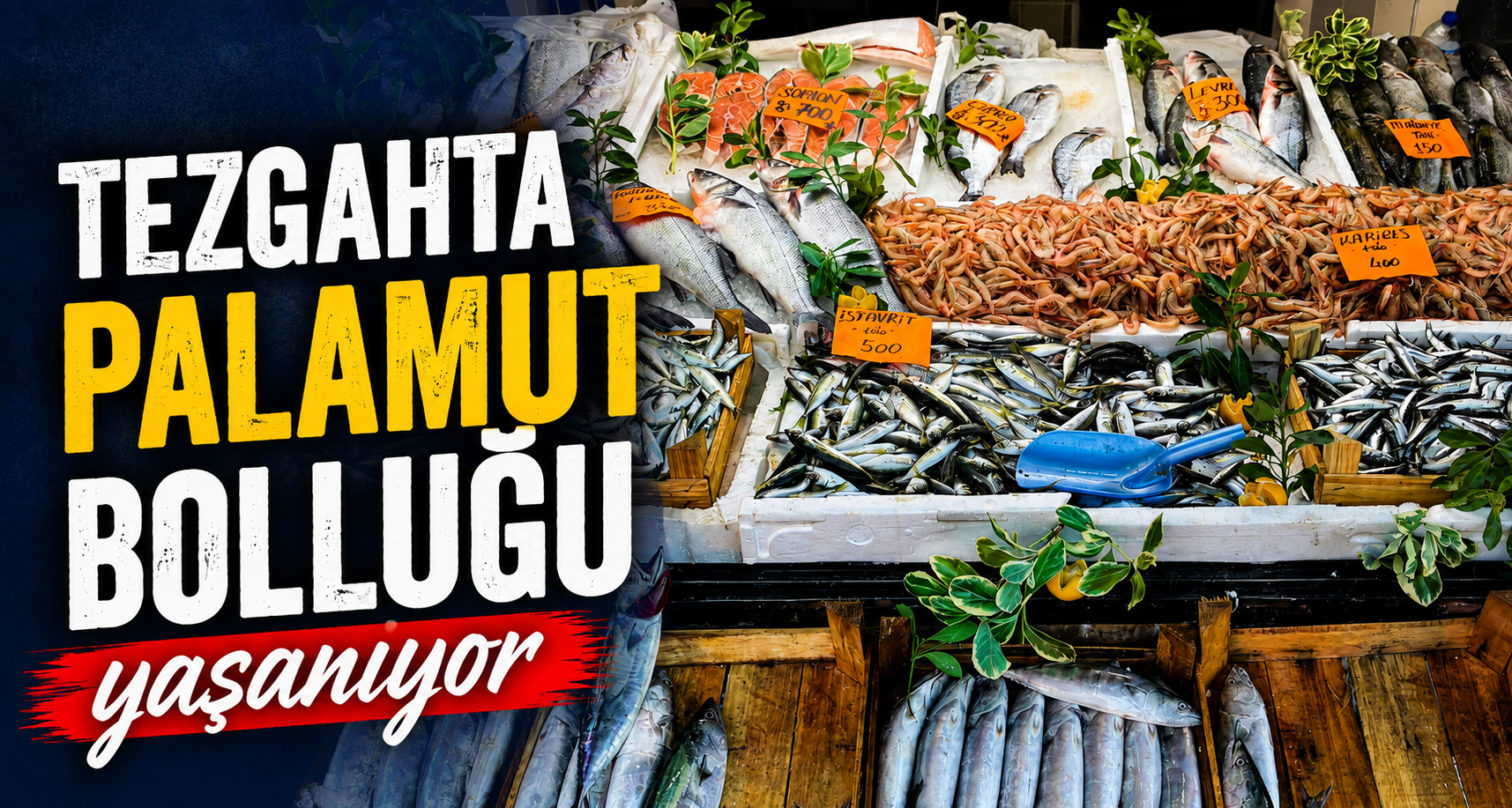 Tezgahta palamut bolluğu yaşanıyor
