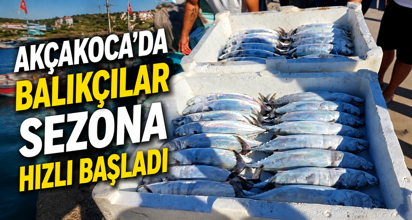Akçakoca’da balıkçılar sezona hızlı başladı